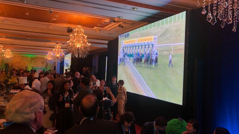 final furlong chic evening