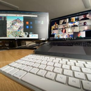 Peak Performance - Online